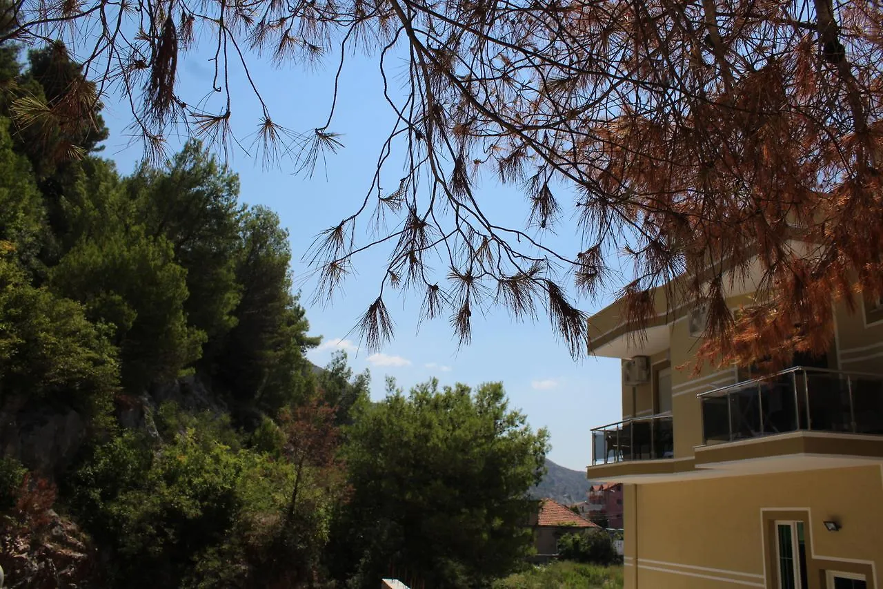 **  Hotel Eduard Shëngjin Albania
